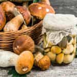 URA! Pickled Porcini Mushrooms in garlic brine, 500ml (Best before 25/10/2026) - Image 2