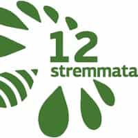 12 STREMMATA