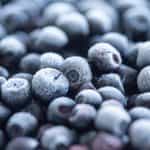 HOLODOK, Bilberries frozen, (shock freezing method), 450g (Best before 07/2027) - Image 2