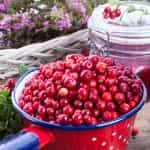 KESIDIS, Lingonberries (Brusnika), frozen (shock freezing method), 450g (Best before 01/10/2028) - Image 4