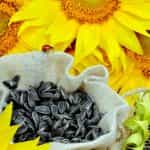 MARTIN, Martin's Seeds, with Sea Salt, Selected, Premium Grade, 200g (Best before 29/05/2026) - Image 2