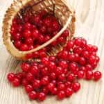 KESIDIS, Red Viburnum (Kalina), frozen (shock freezing method), 450g (Best before 30/07/2027) - Image 3