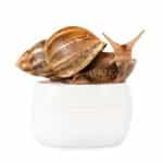 VICTORY, Greek, 100% Natural Ingredients Body Lotion "Snail Secretion" with Hyaluronic Acid, 150ml - Image 3